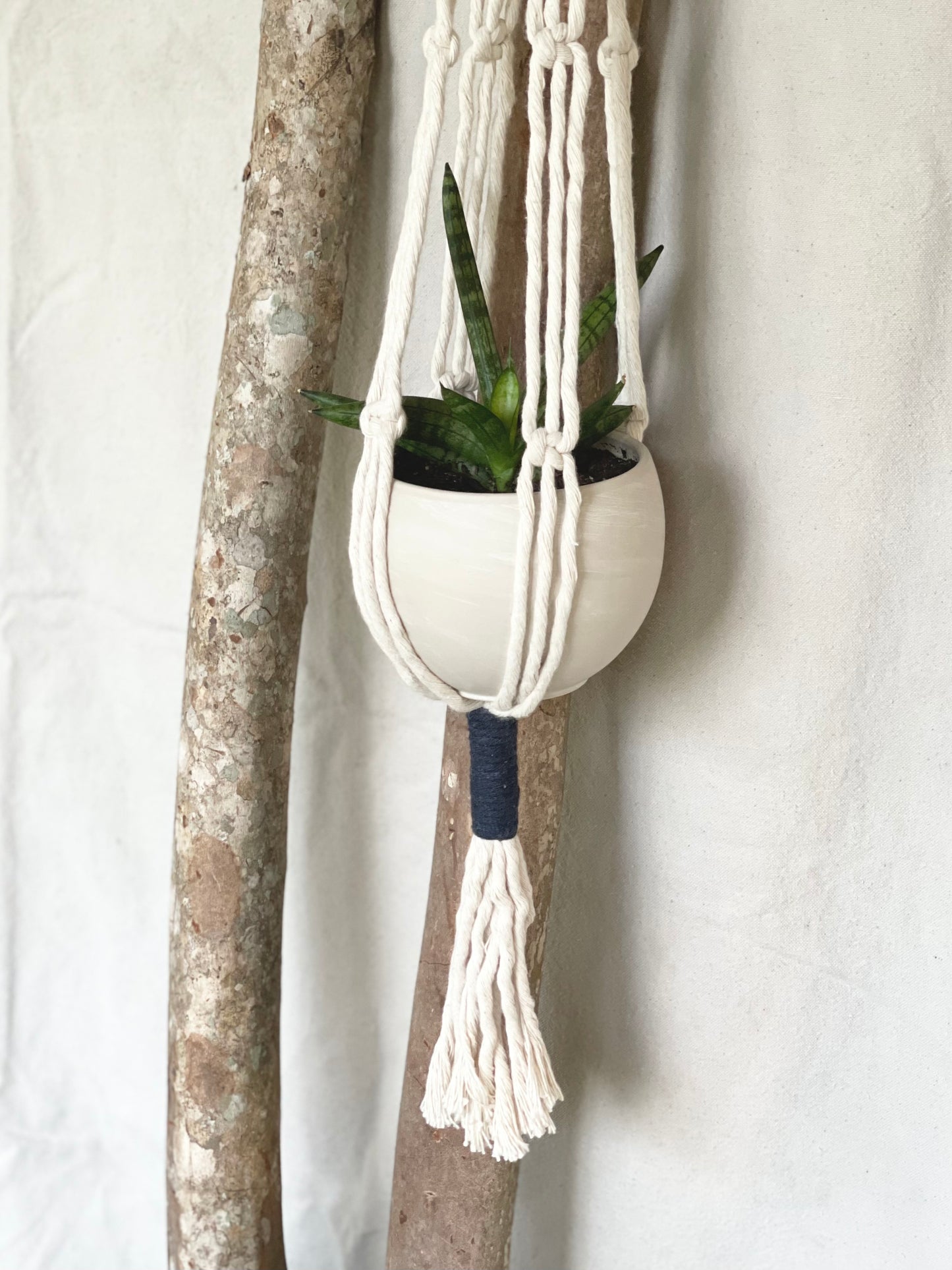 Eden Color-block Macrame Plant Hanger